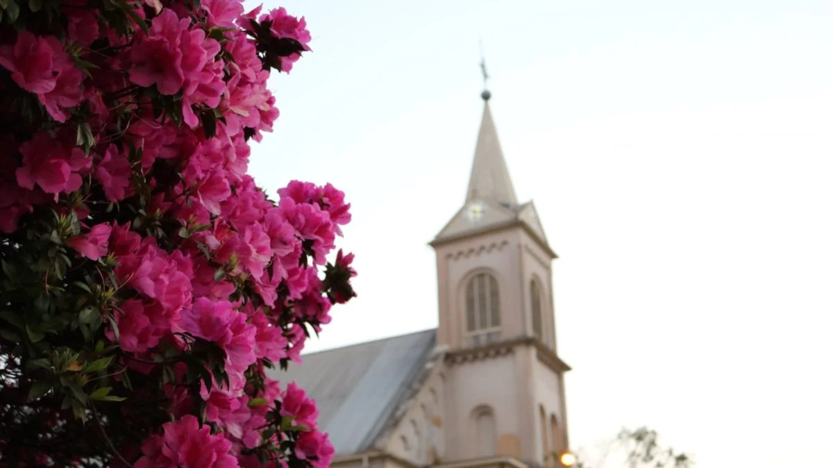 Catedral Diocesana São Francisco de Assis em Caçador