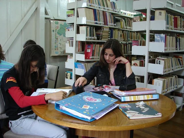 Biblioteca Pública Municipal Carlos Armando Paludo em Seara
