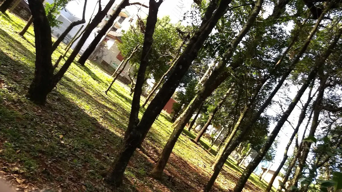 APAE Chapecó