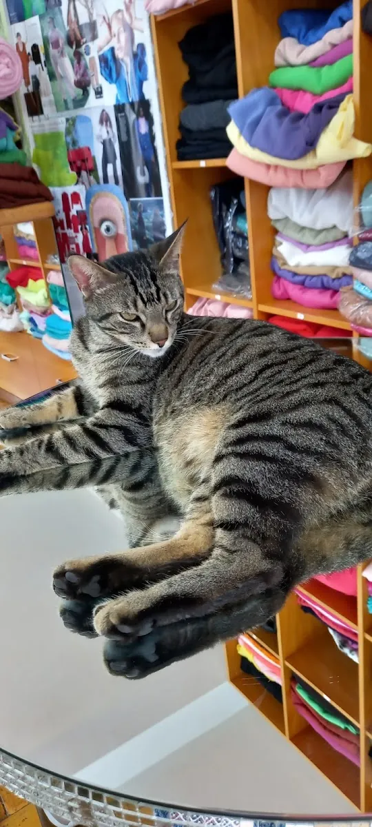 Danny Pet Shop