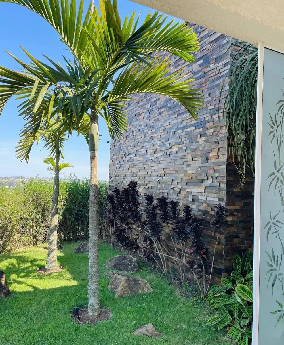 Prime OLMD Pedras Decorativas