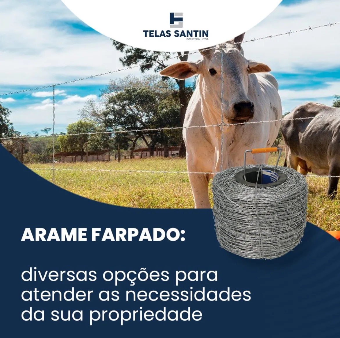 Tela Santin